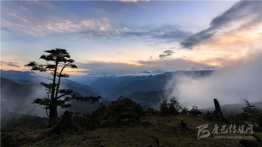 讓記憶成為永恒